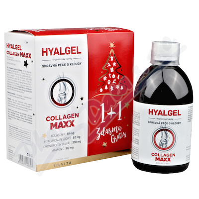 Levně Hyalgel Collagen MAXX vánoční balení 2022 2x500ml