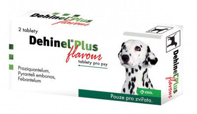 Levně Dehinel plus Flavour a.u.v. tbl. 1x2
