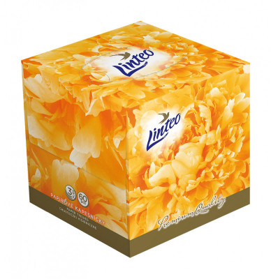 Levně Papírové kapes.LINTEO PREMIUM 3-vrstvé Bílé 60ks