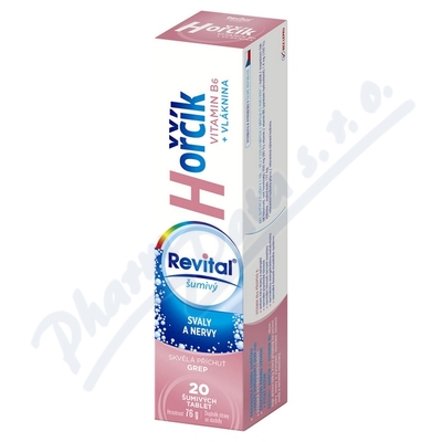 Levně Revital Hořčík + B6 tbl.eff.20 grep