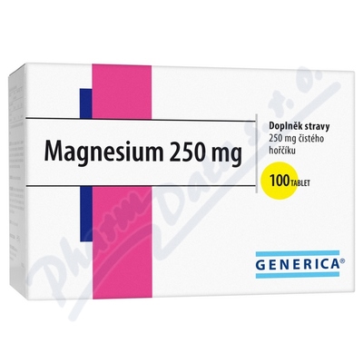Levně Magnesium 250 Generica tbl. 100