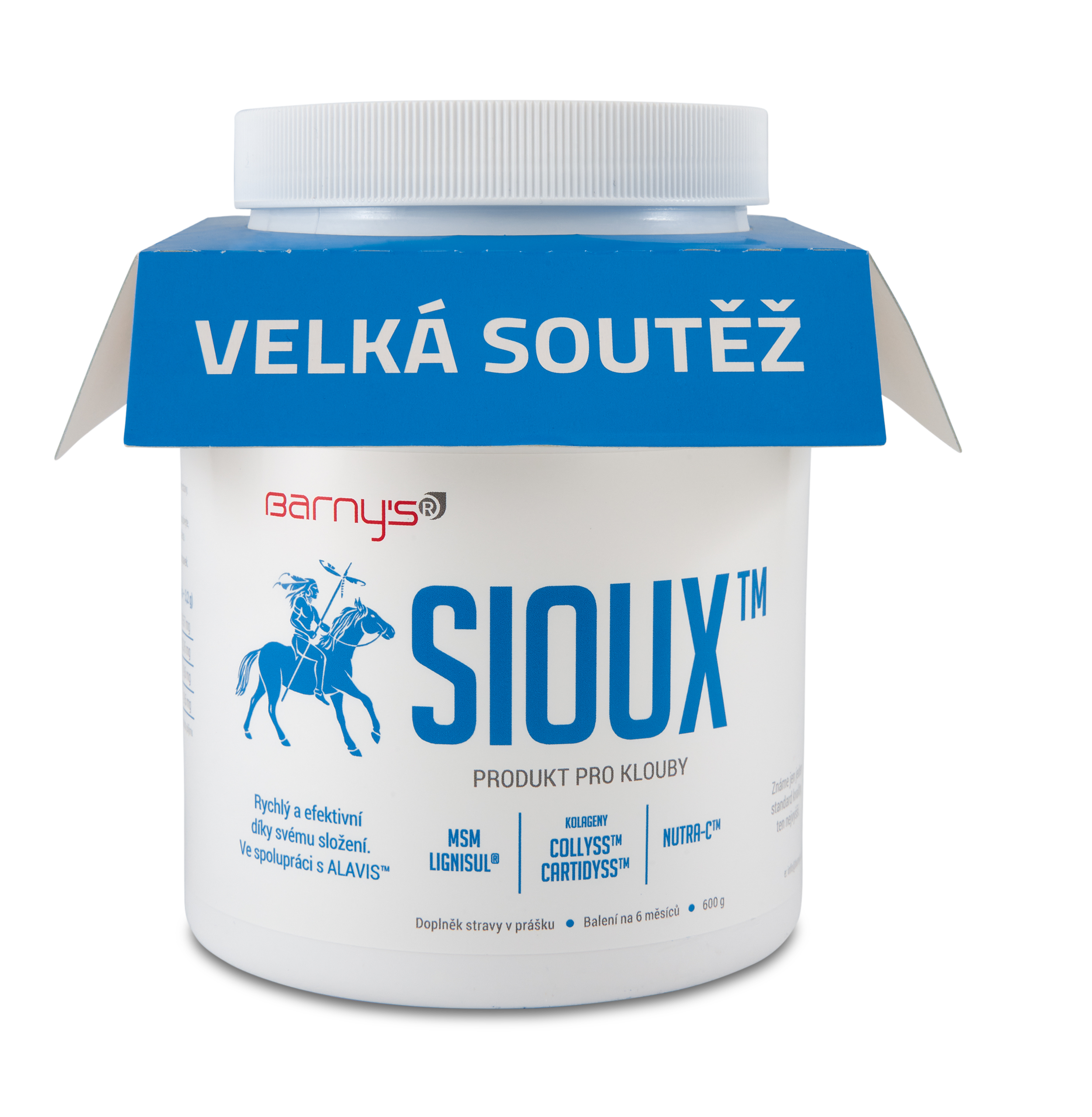 Levně Barnys Sioux MSM 600g