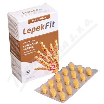 Levně LepekFit tbl.30