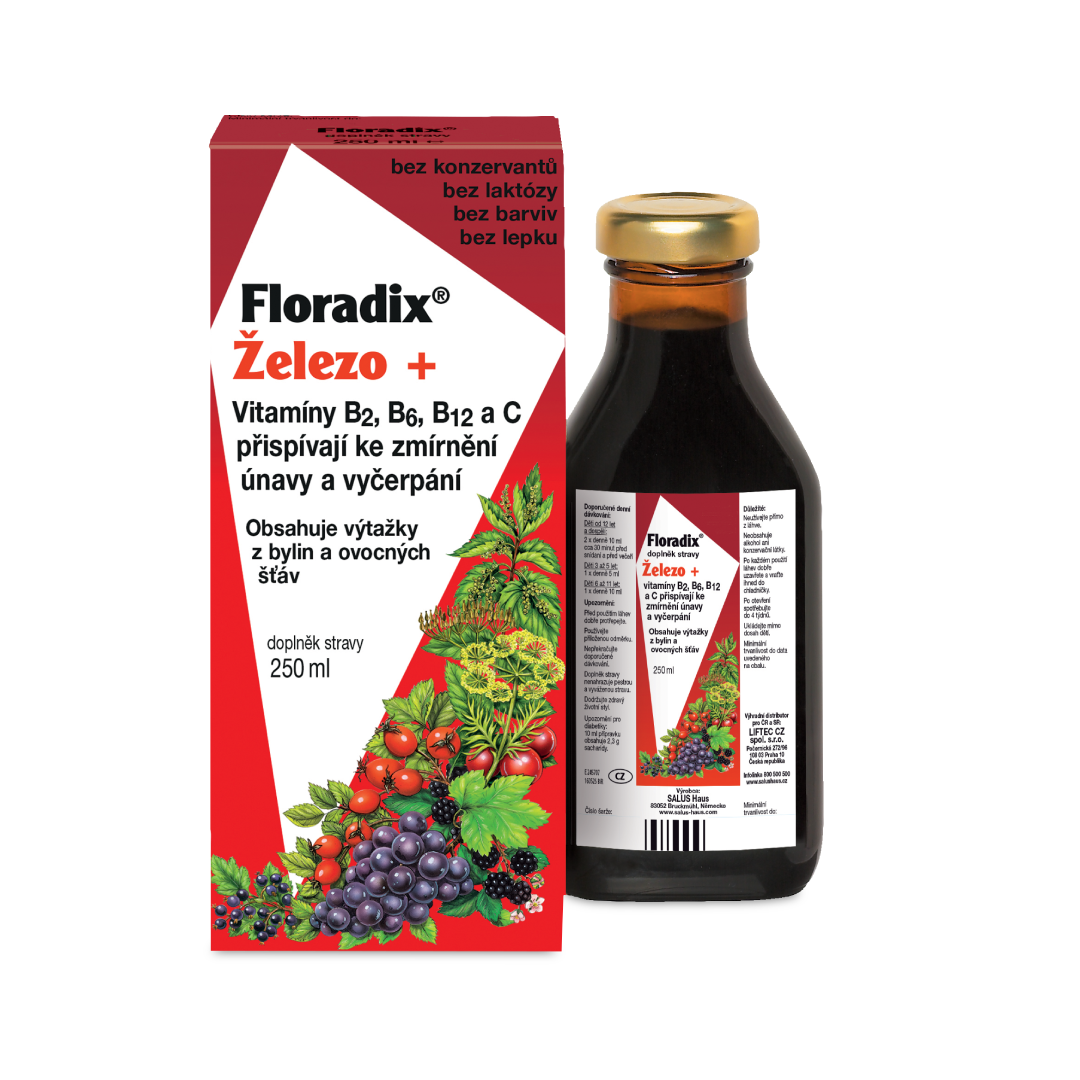 Levně Salus Floradix Železo+ 250ml
