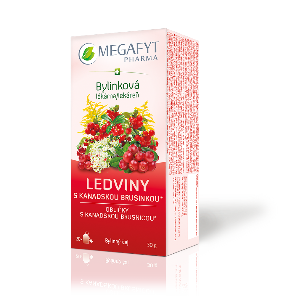 Levně Megafyt Bylinková lékárna Ledviny s kanadskou brusinkou 20x1.5g