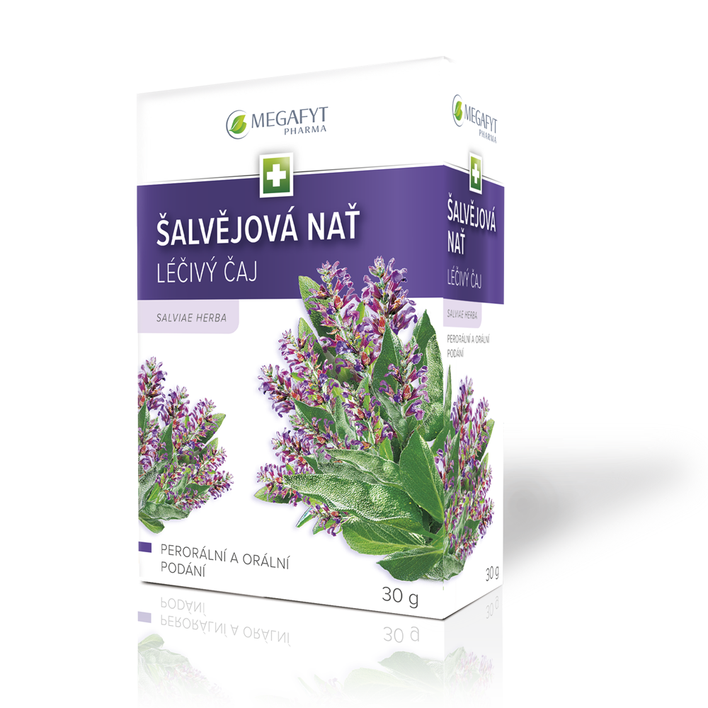 Levně Megafyt Šalvějová nať 30g