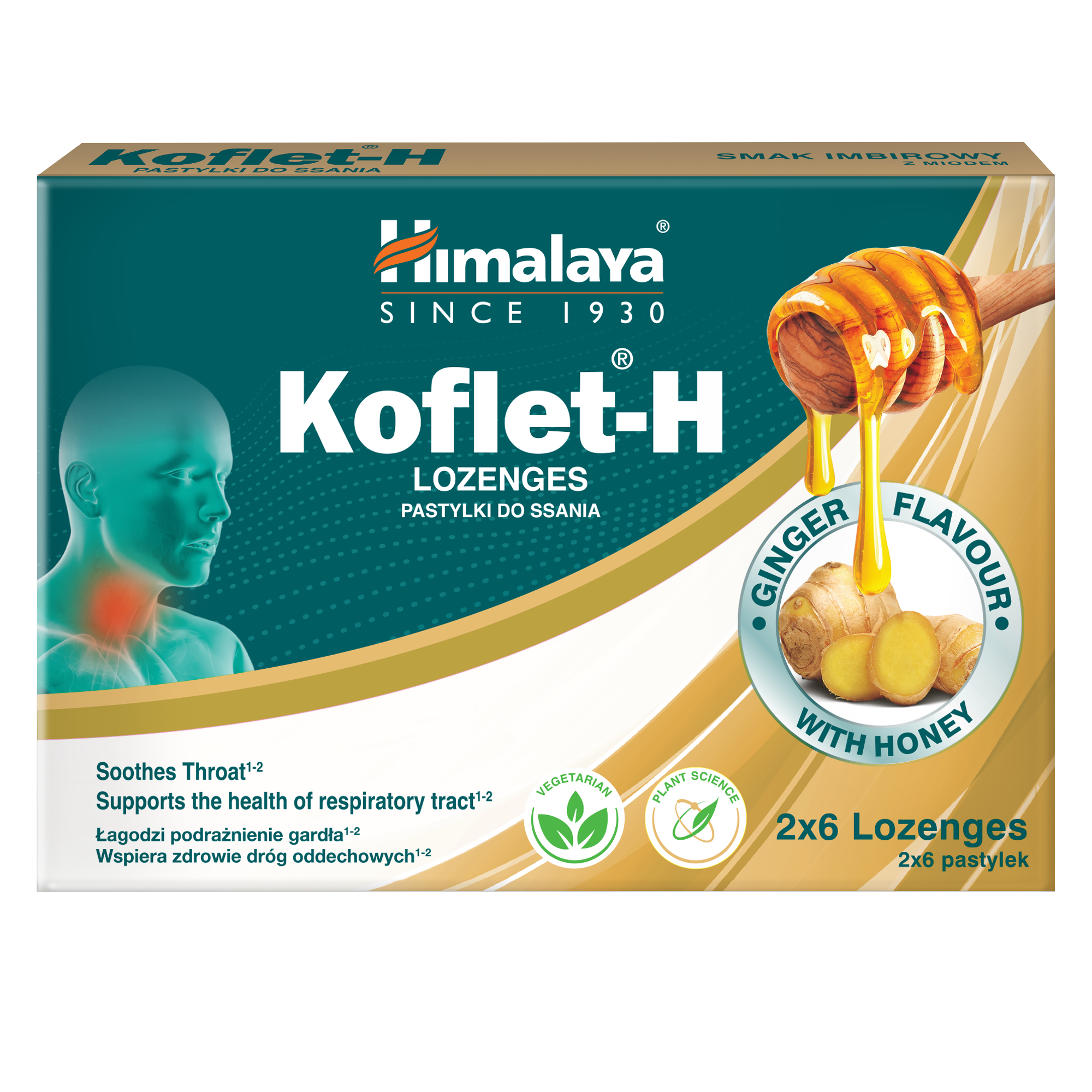 Levně Himalaya Koflet H Ginger 12 pastilek