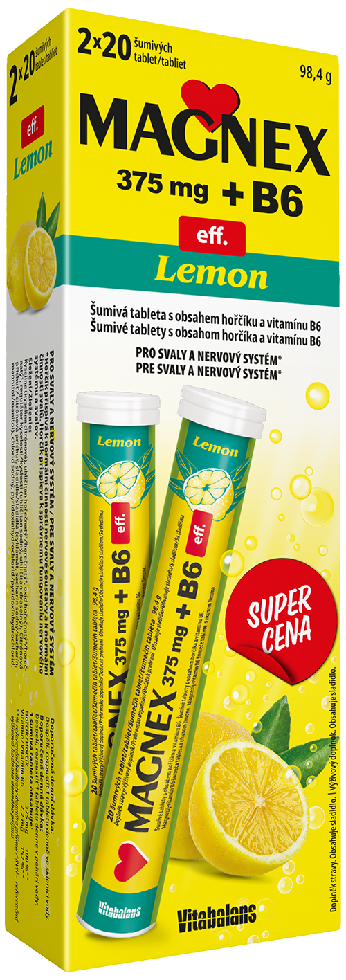 Levně Magnex 375mg+B6 2x20 šumivých tablet