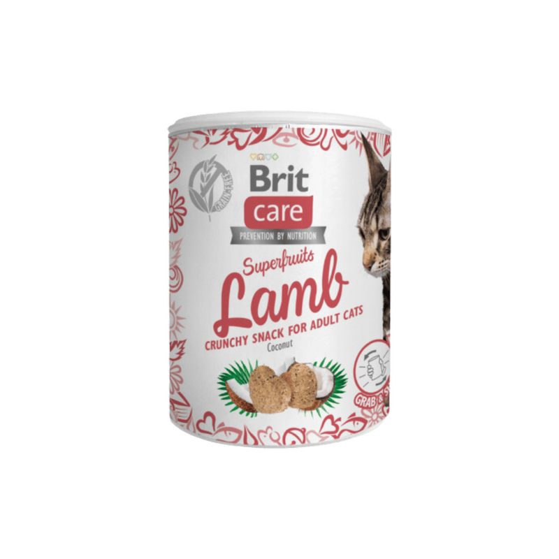 Levně Brit Care Cat Snack Superfruits Lamb 100g