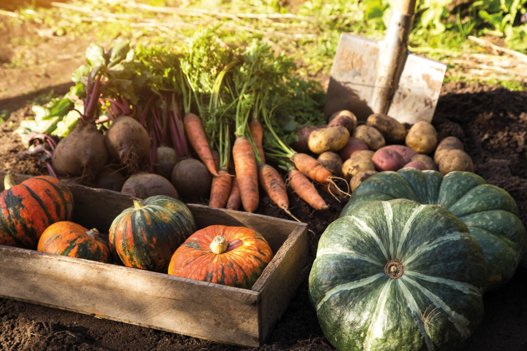 AdobeStock_476224332