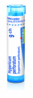 Hypericum perforatum 9.jpg