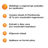 Panthenol_Pena_ve_spreji_aloe_150dpi_TXT.jpg