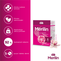 GS_MERILIN_banner_4