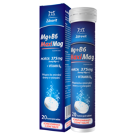 MaximagBT_box_tube