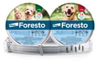 IN24-025_Foresto_packy+obojek-web