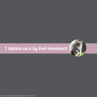 FRONTCONTROL_PG_CZ_CAT_07