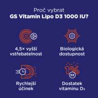 6_8595693302125_GS_Lipo_D_6