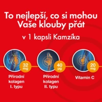 3_cemio_kamzik_infografika365_xxl2_68e4a08eeb2397.37902541
