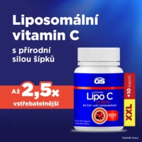 28595693301982_gslipocg100252_686670e0e2d426.17817905