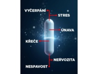 12954-5_iq-mag-energy-organicky-horcik-malat-vitamin-b6-pro-energi