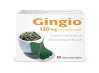 Gingio_120_60tbl_F_2025_nove_logo