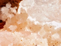 4556554-1_2021-aug-body-scrub-textures-ayurveda-0206-4-by-3