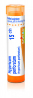 Hypericum perforatum 15.jpg