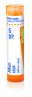Allium cepa 15.jpg
