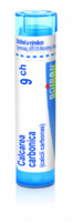 Calcarea carbonica 9.jpg