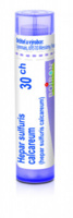 Hepar sulfuris calcareum 30.jpg