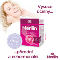 GS_MERILIN_banner_2