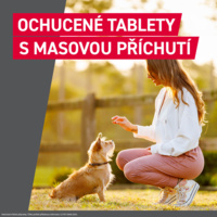 FRONTCONTROL_PG_CZ_DOG_05