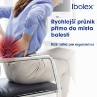 Ibolex_secondary_2