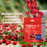 GS_VIT_C_1000_infografika_60tbl_CZ_2