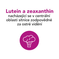 Protectum PVI_Thumbnail_2