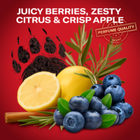 08700216752497_80830284_ECOMMERCE_CONTENT_SECONDARY_IMAGE_FRONT_CENTER_3000X3000_105__CZECH_APORDO_AND_BODY_SPRAY_256225726