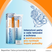 BP-Tattoo-infografika-krabička