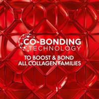 Website assets Collagen 16Ingredients