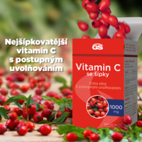 GS_VIT_C_1000_infografika_120tbl_CZ_2