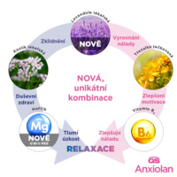 GS_Anxiolan_infografika_CZ_3
