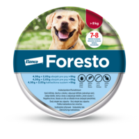 IN24-025_Foresto_pack-velky-web