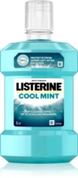 cool-mint___220407