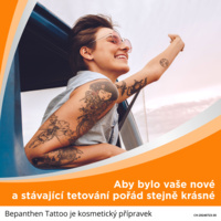 BP-Tattoo-infografika-zena-v-aute
