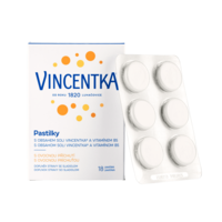 vincentka-ovocne-pastilky-skupina (1)-min (1)
