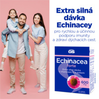 G9669_GS NEW ECHI 30 CZ bannery_červen20242