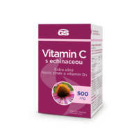 1_G9645_GS VITC+ECHI CZ bannery_září2024_1