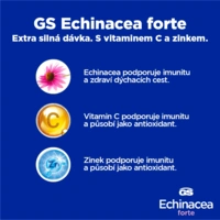 38595693301883_gsechig96693_6866684681ceb3.95792580