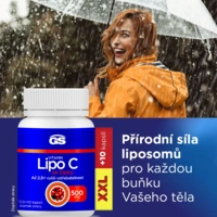 68595693301982_gslipocg100256_686670e105c379.55962130
