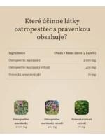 123-8_product-photo-milk-thistle-pills-7