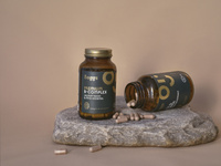 SPTbeg024_6